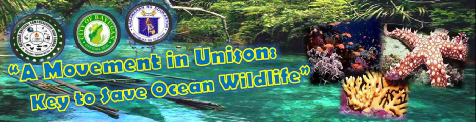 &nbsp;A Movement in Unison: Key to Save Ocean Wildlife